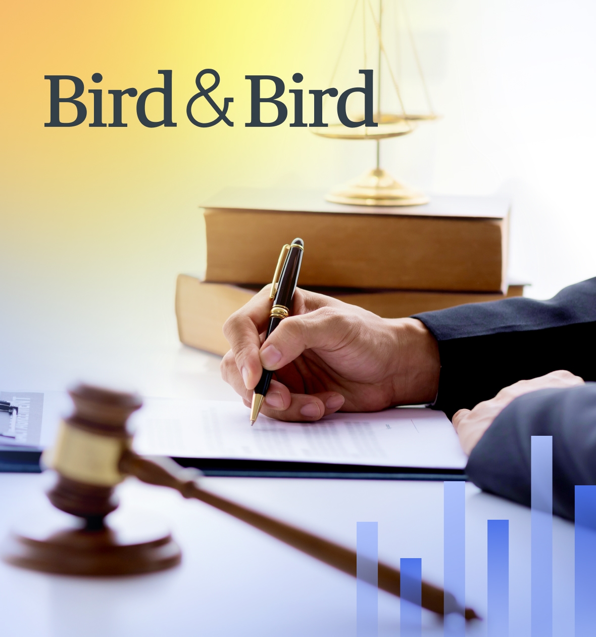 Bird & Bird law firm transformed their cybersecurity culture Hoxhunt